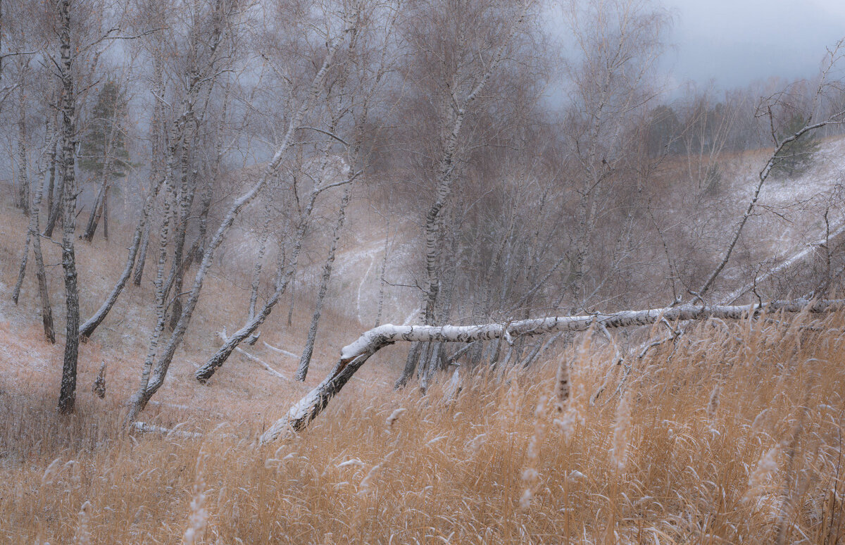 Осенний сон - Сергей Герасимов