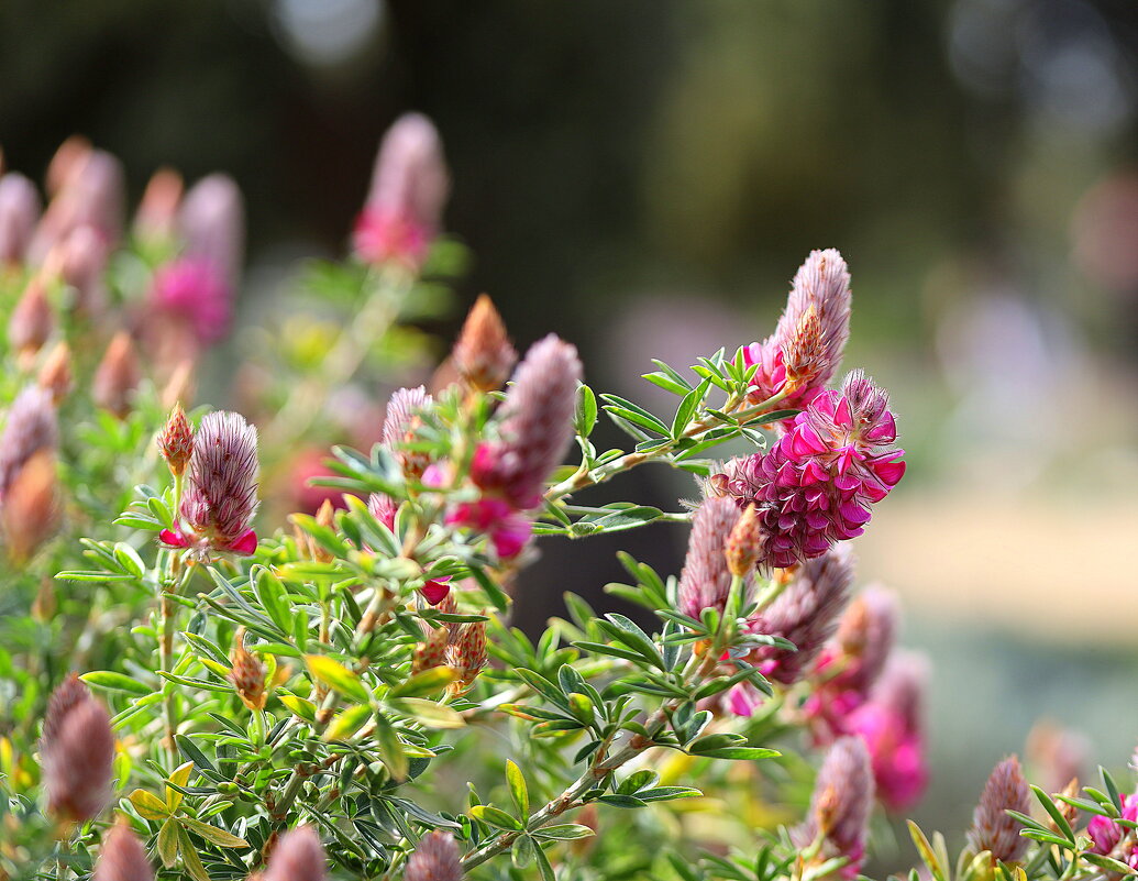 Яркие. - Оля Богданович