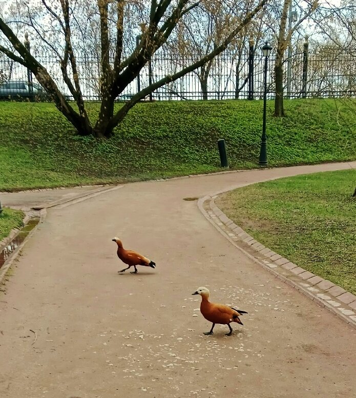 Переход - Nataly St. 