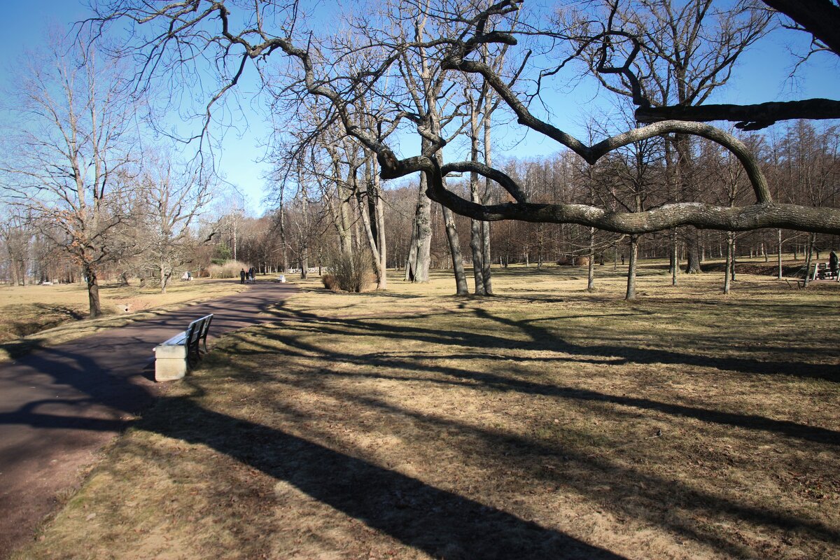 Парк Александрия - Наталья Герасимова