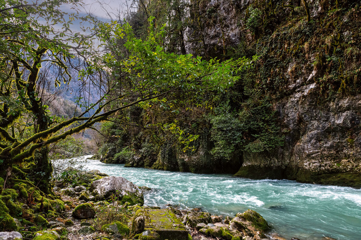 Юпшарский каньон. Абхазия. - Дина Евсеева