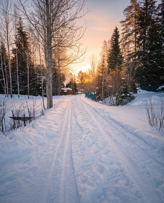 Зимняя дорога на даче - Лилия 