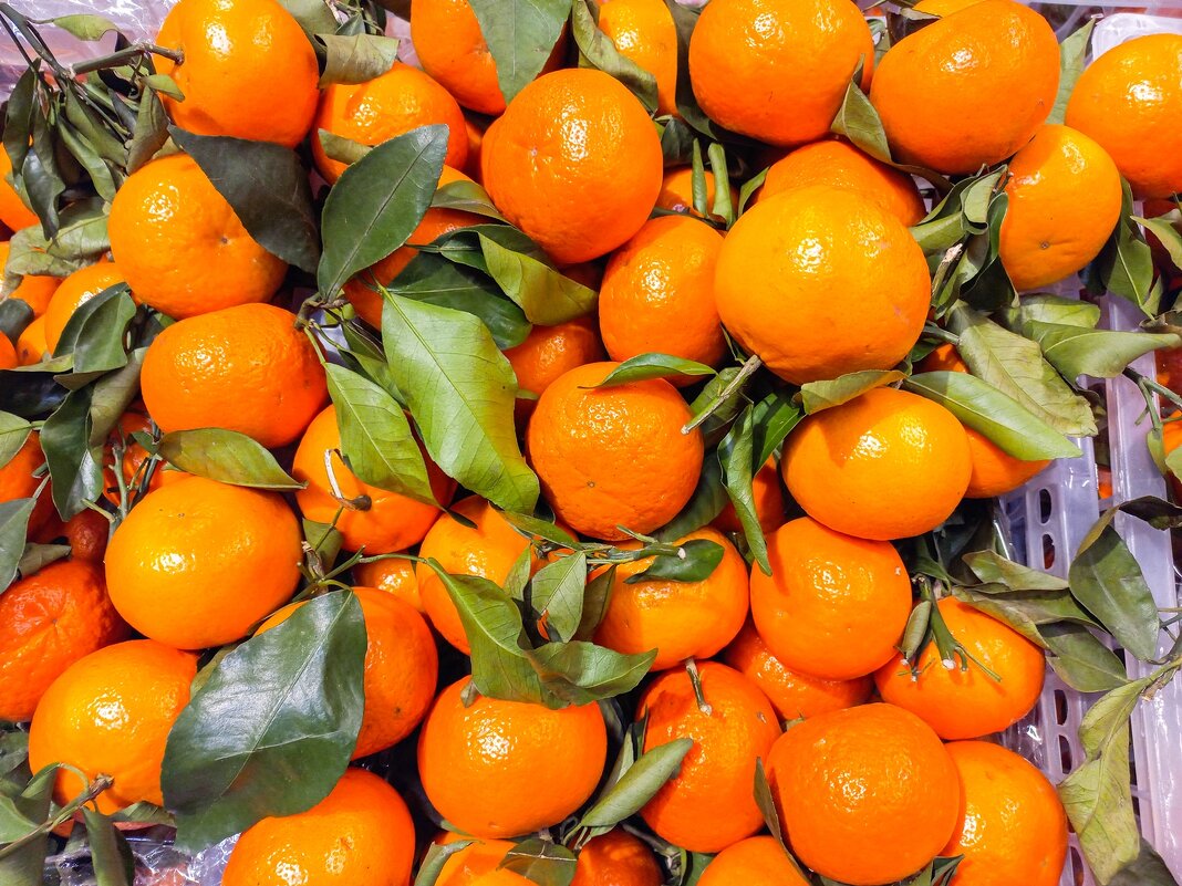 Китайские - Валерий Иванович