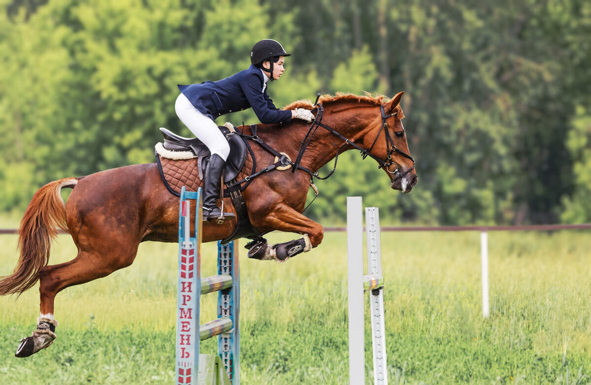 Конкур - SanSan 