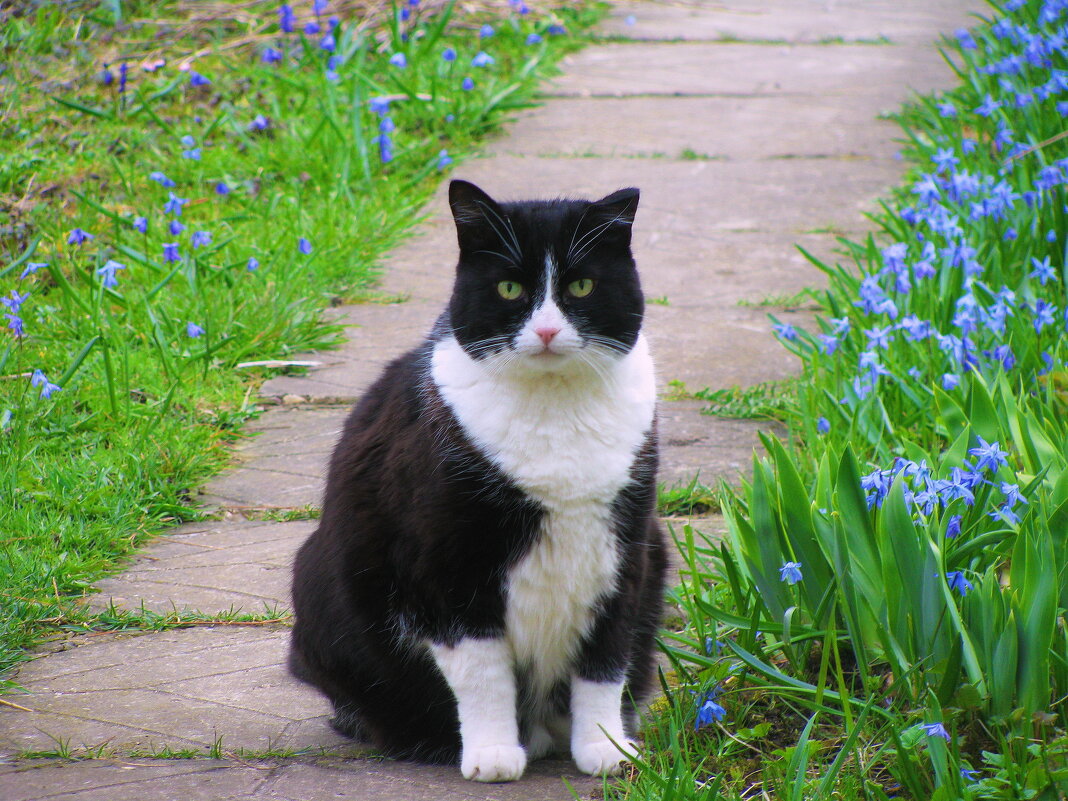 Хорошо в саду - Людмила Смородинская