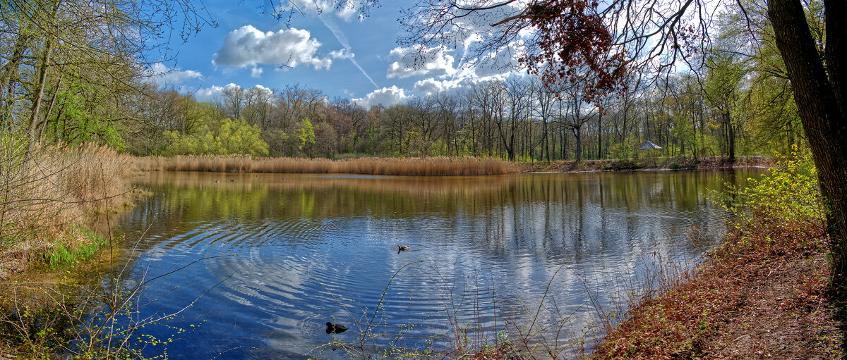 Рыбный пруд - Jakob Dick