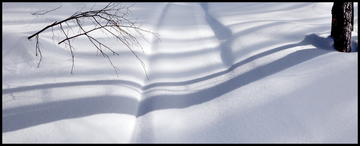 Немая сцена - **** vedin