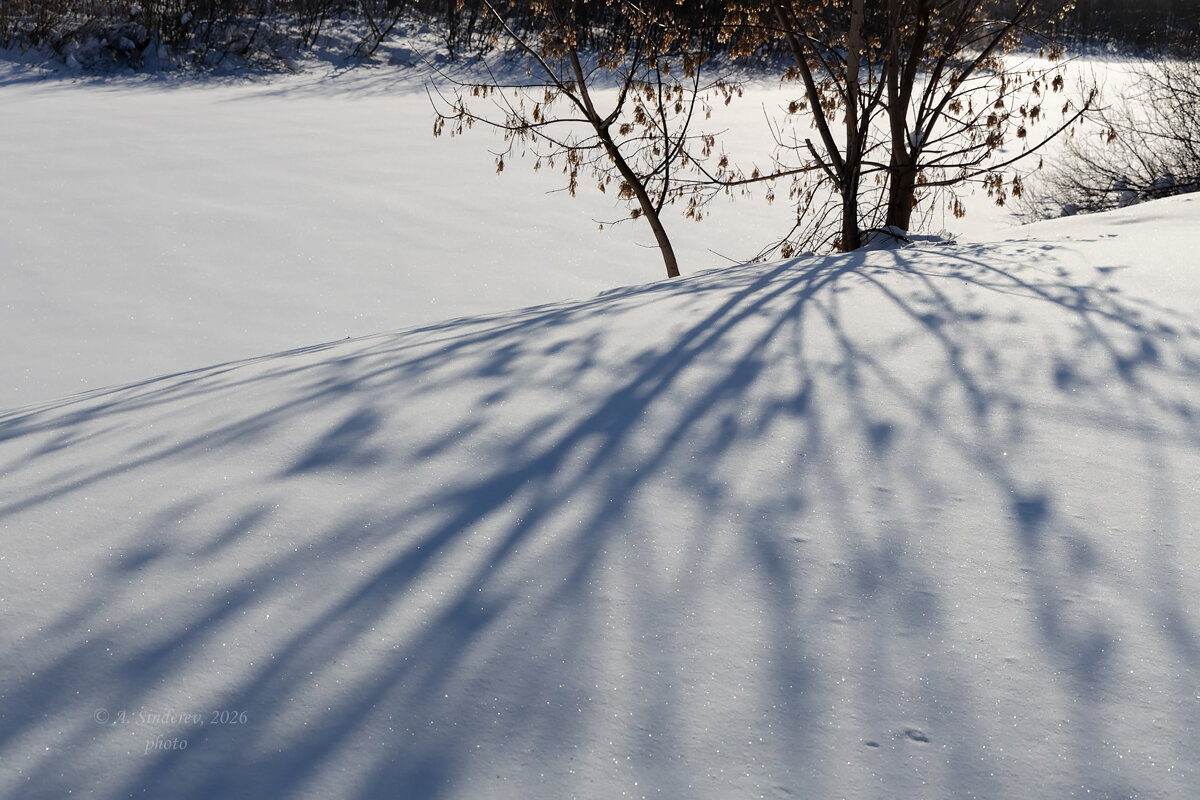 Тени зимы - Александр Синдерёв