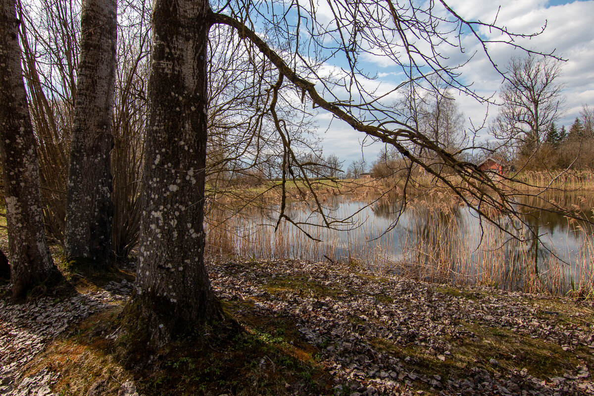 *** - Геннадий Порохов