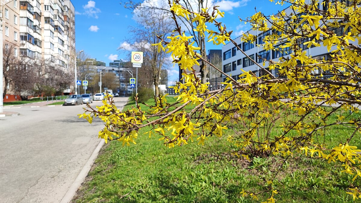 ,,, - Сергей Тимоновский