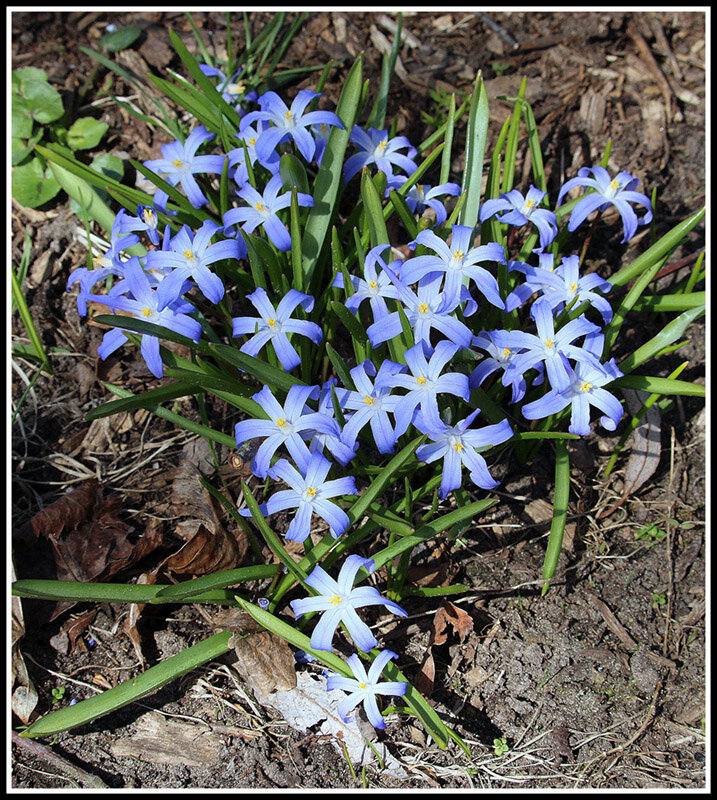 Весенний - Aleksandr Gal