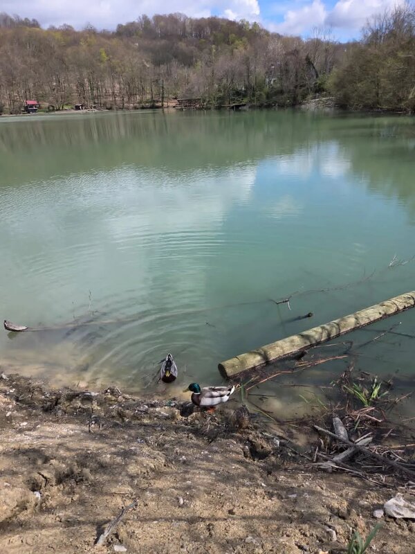 Калиновое озеро - Tata Wolf