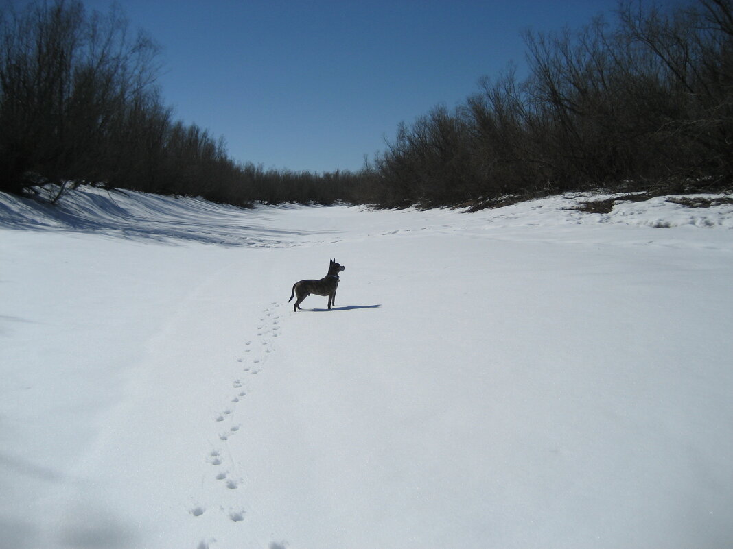 На острове - Anna Ivanova
