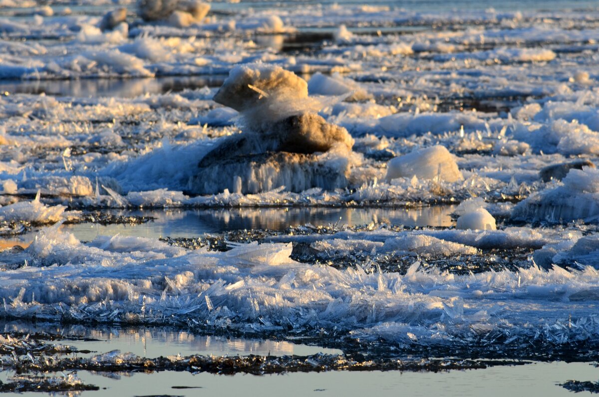 Ледоход в Омске - Savayr 