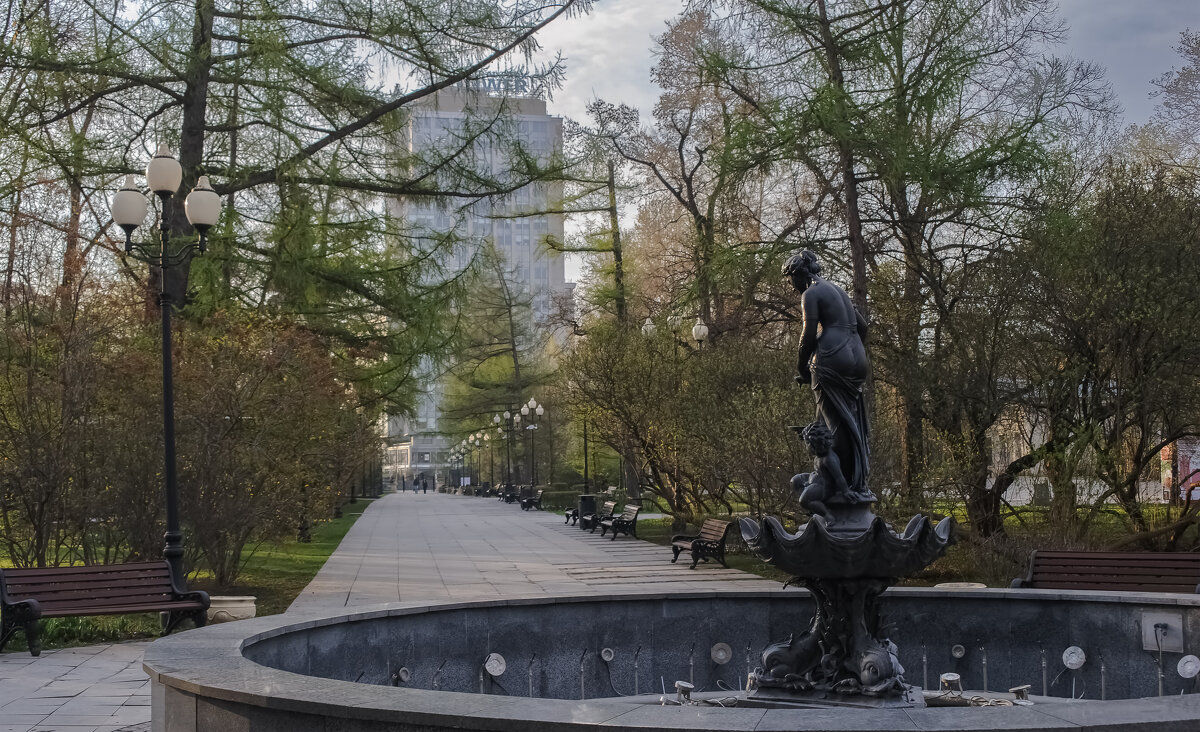 Пустая чаша. - Николай 