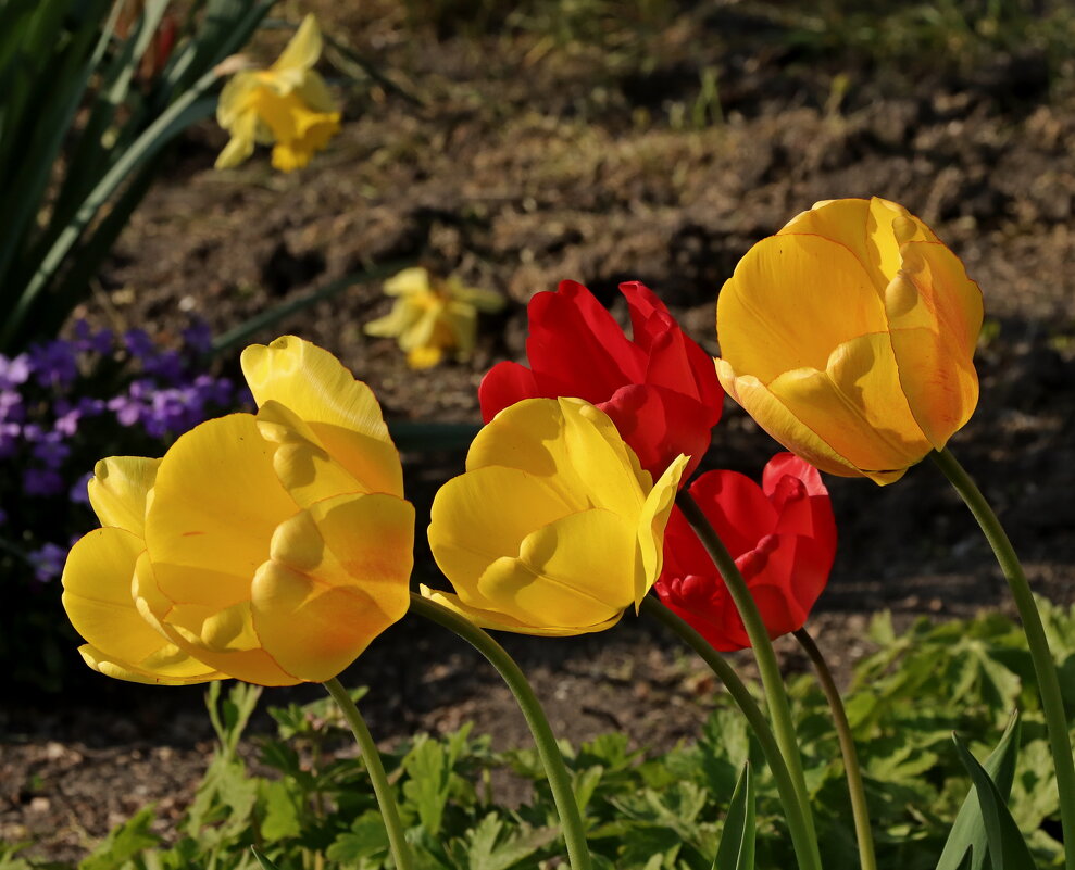 *** - Игорь Kуленко