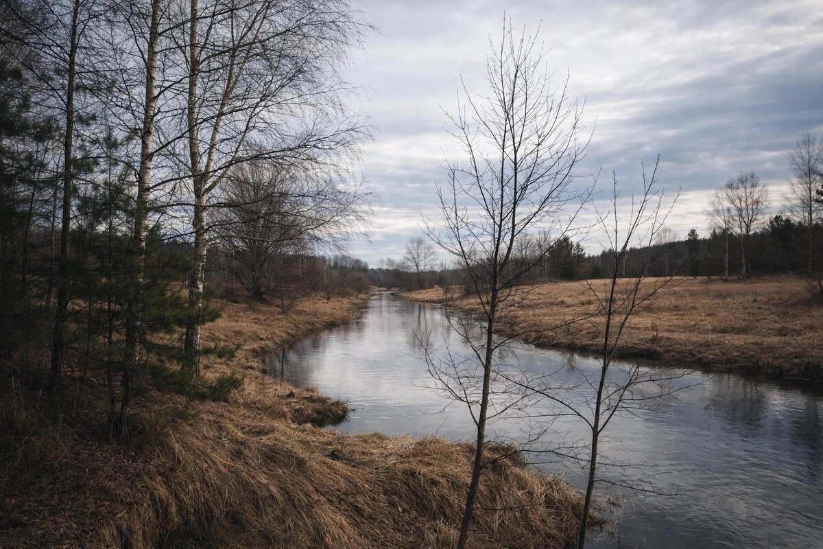 Река Молокча - Денис Бочкарёв