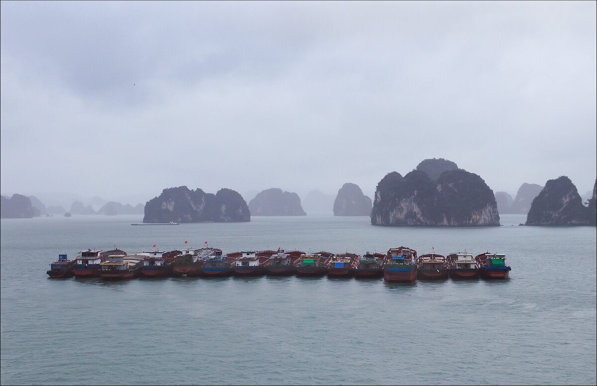 Стая - Валерий Готлиб