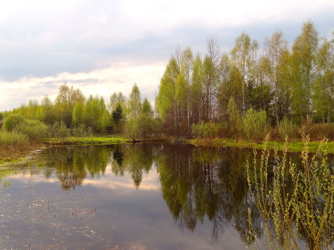 Отражения весны. - Наталья ***