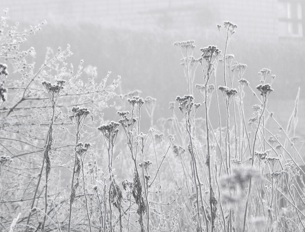 мартовский иней - Лера 