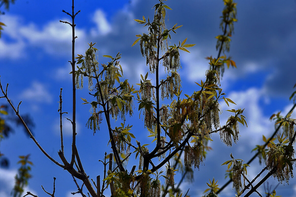 На фоне неба - Юрий Гайворонскiий