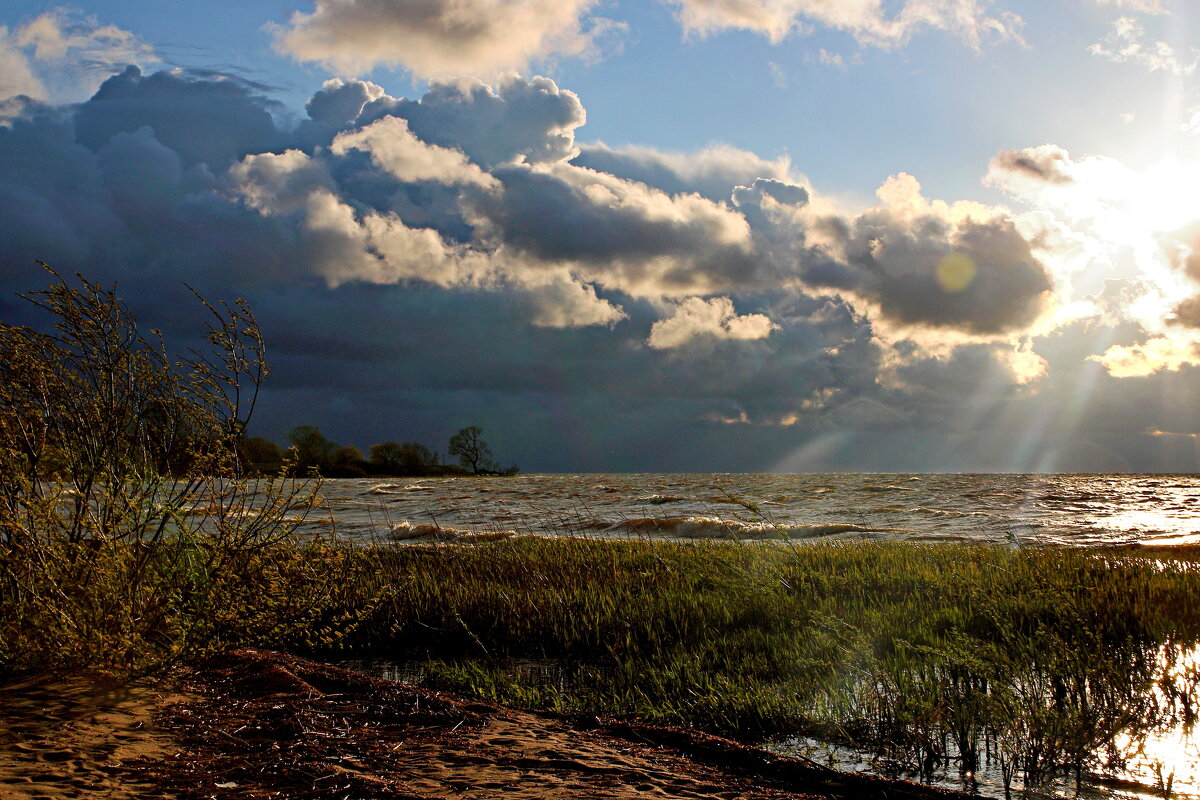 Весенние контрасты - В.И 