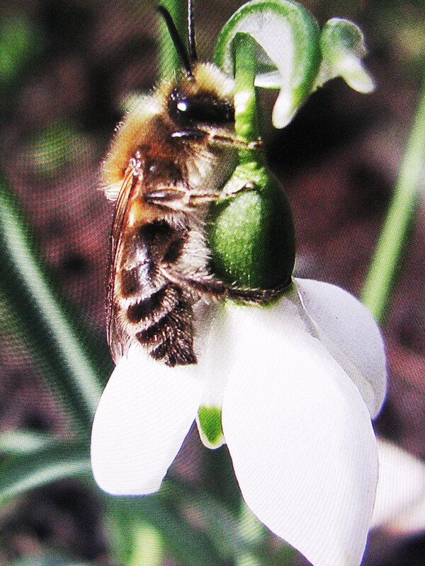 Отдыхает - Людмила Смородинская