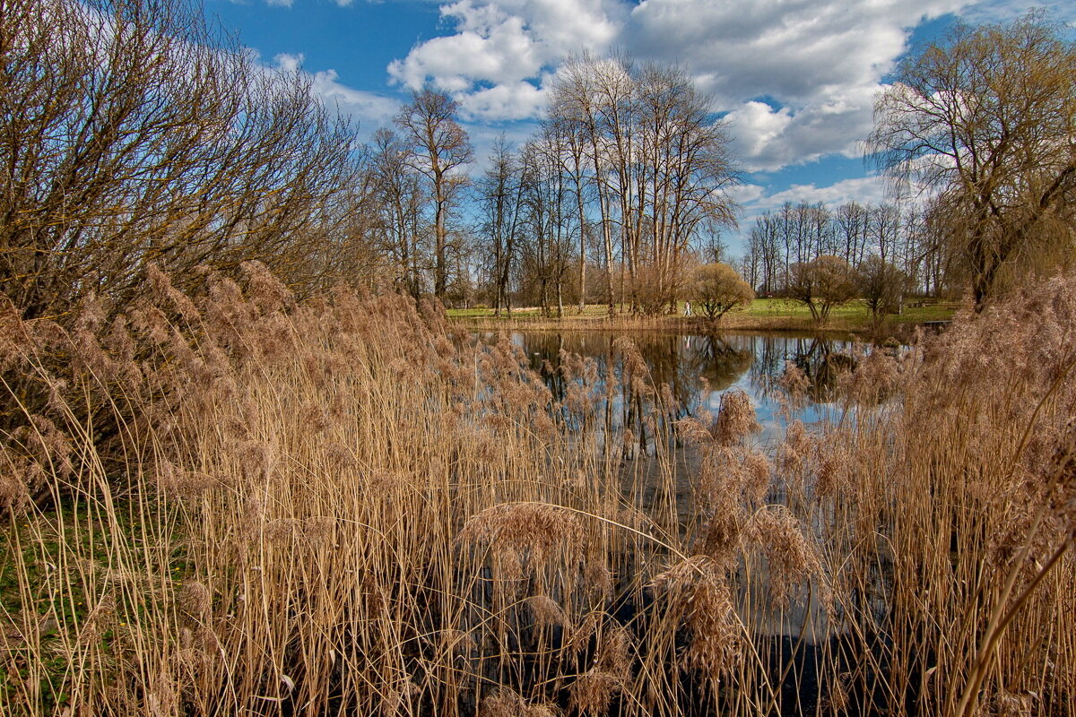 *** - Геннадий Порохов