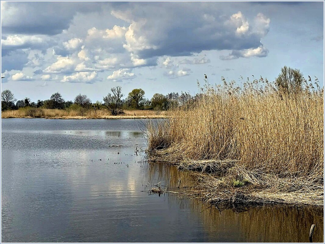 На реке Лаве. - Валерия Комова