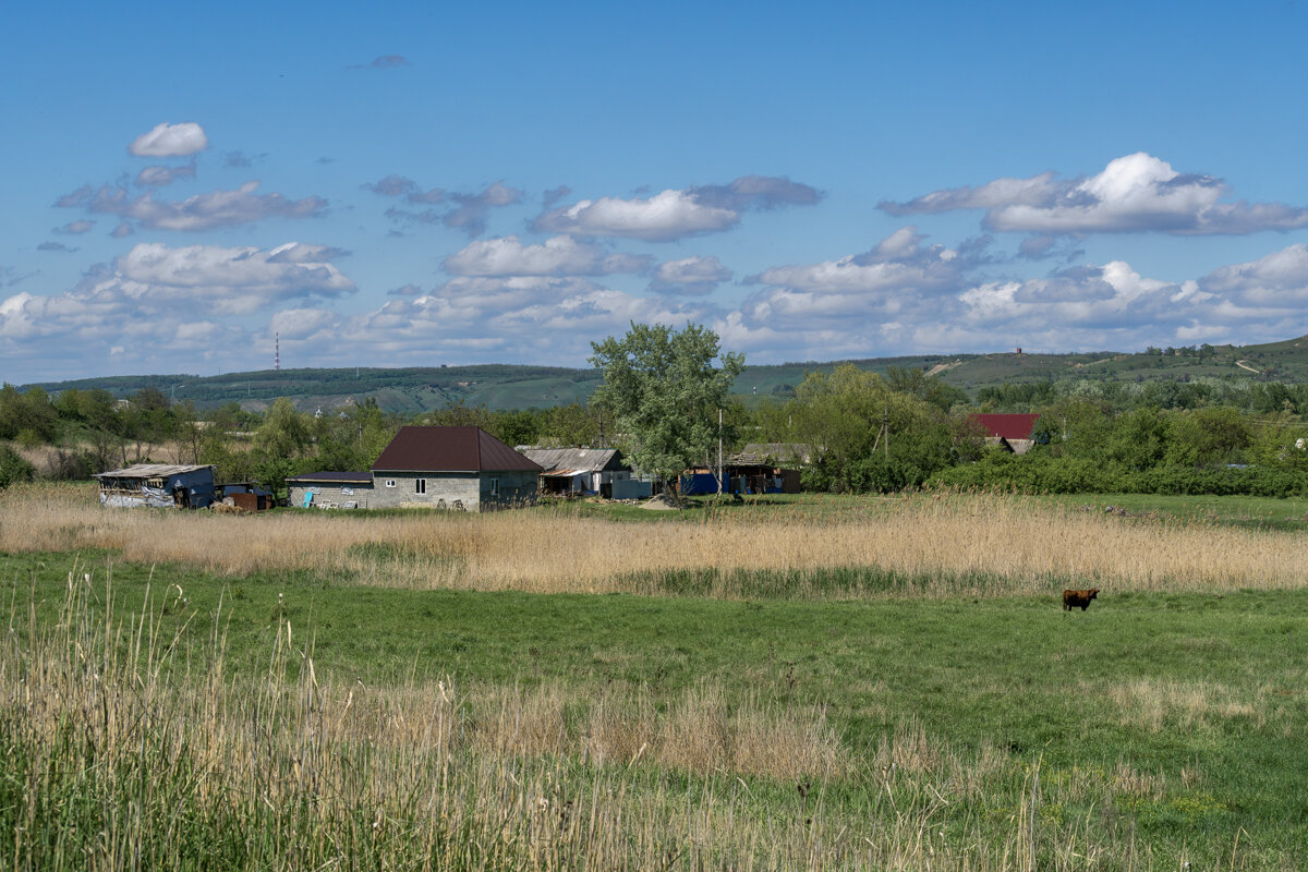 Мои любимые окрестности - Игорь Сикорский