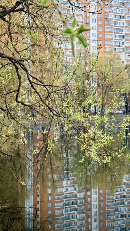 Апрель в городе’26 - Арина Невская