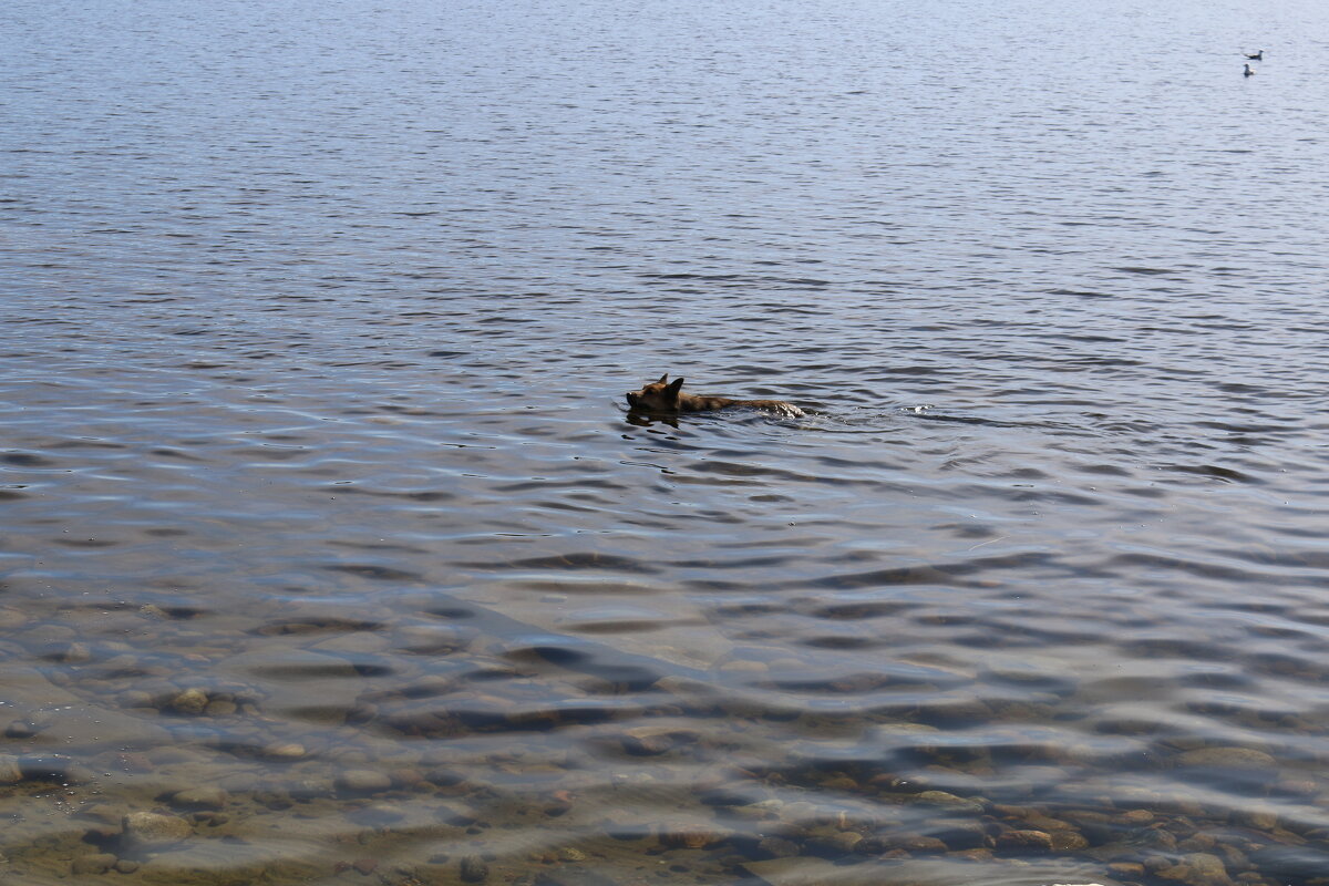 Открытие купального сезона - Ольга 