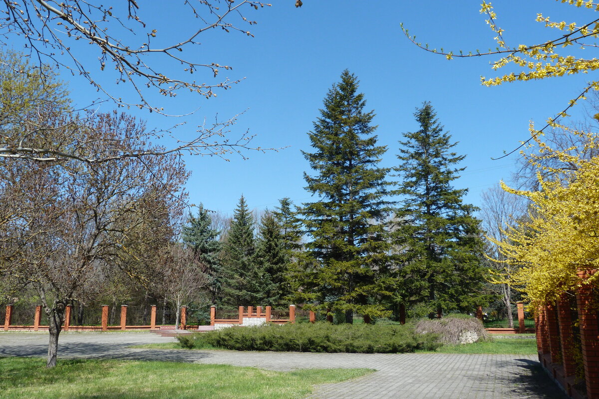 Парк  Н В Багрова - Валентин Семчишин