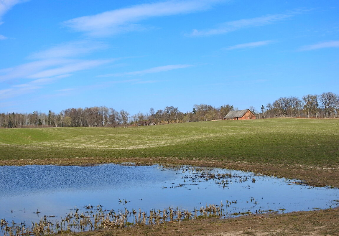 весенние зарисовки - ИННА ПОРОХОВА