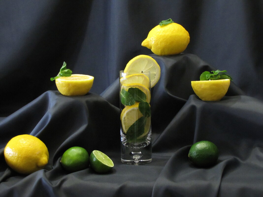 С лимонами и лаймом... - Татьяна Гнездилова