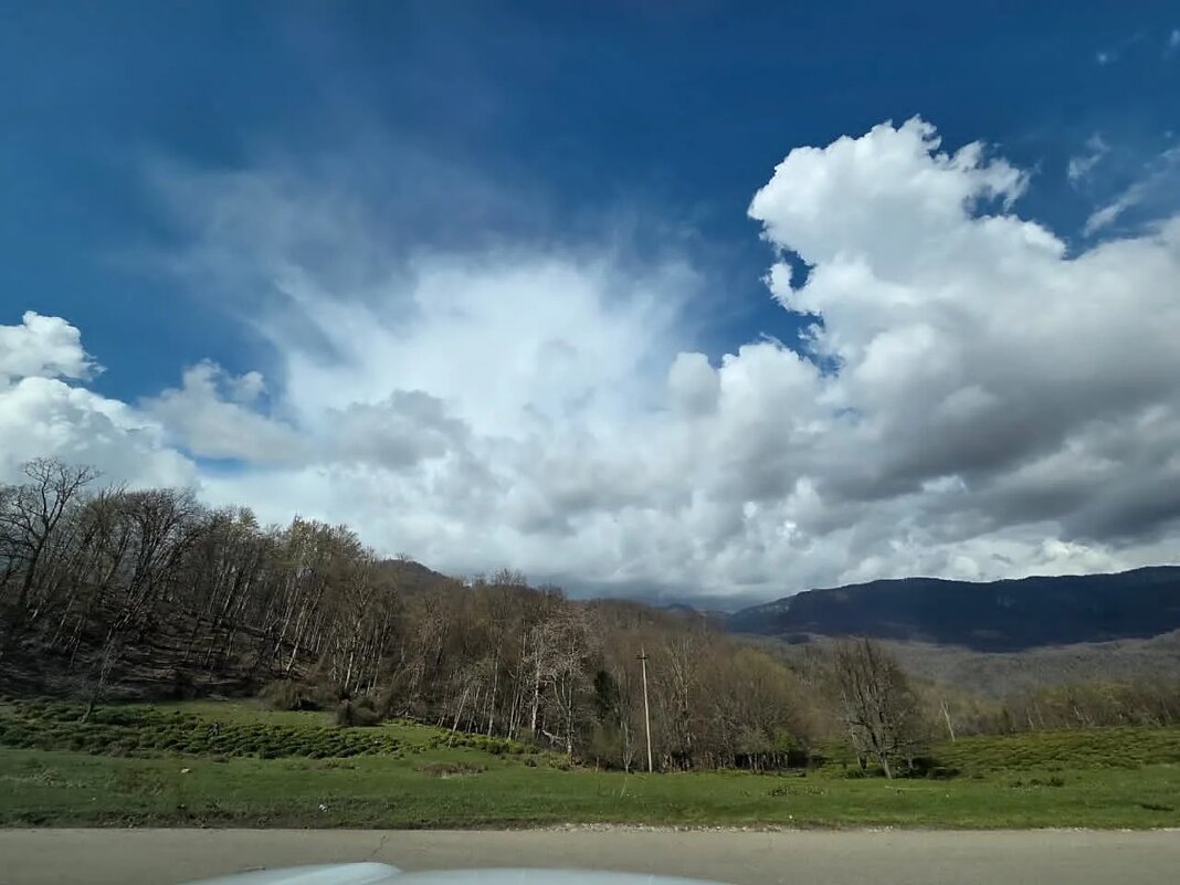 Дорога на Калиновое озеро. Чайные плантации - Tata Wolf