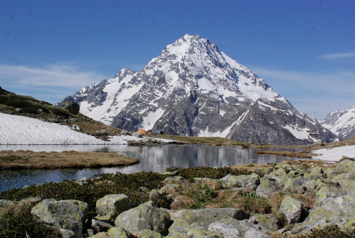 Исполин ... - Андрей Любимов