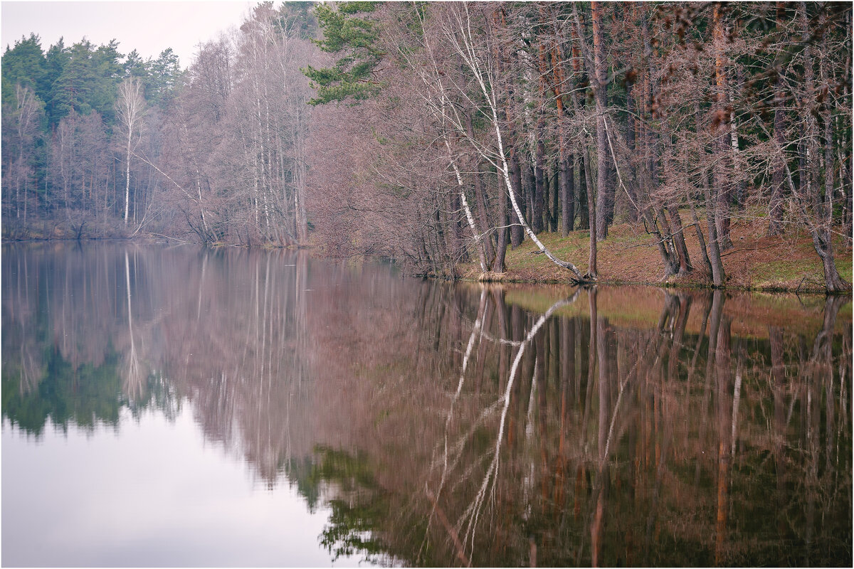 Весна за городом. Апрель. - Вячеслав Владимирович