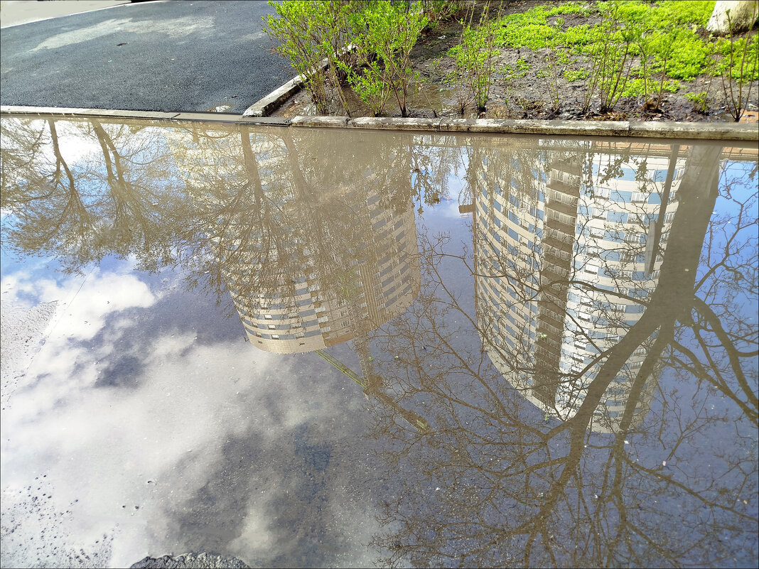 Отражение! - Надежда 