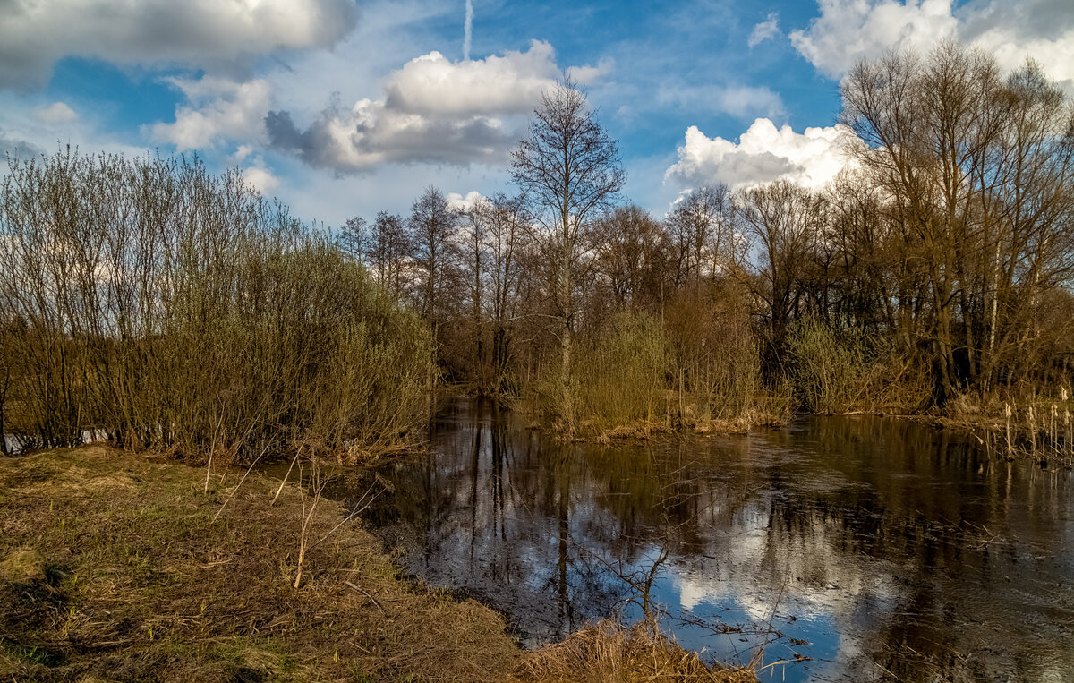 Весенняя прогулка 9 - Андрей Дворников