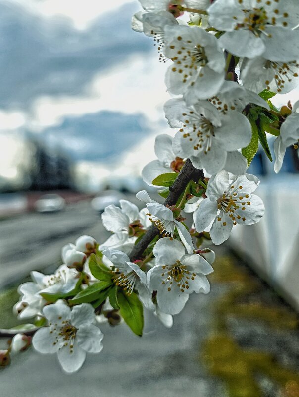 да здравствует весна.. - Георгий Никонов