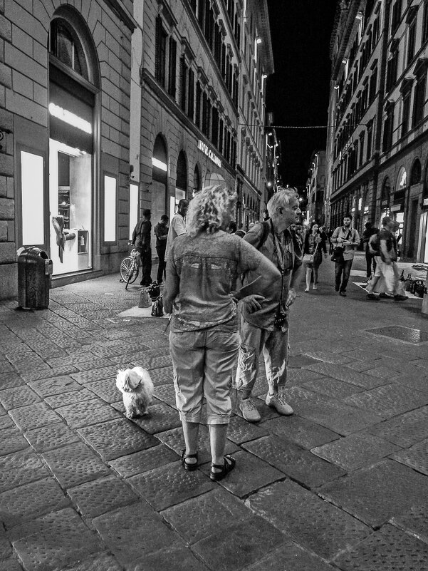 Разные интересы... - Наталья Rosenwasser