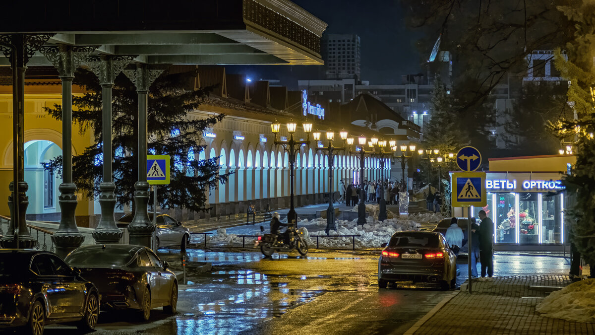 Еще недавно снег лежал... - Сергей Шатохин 