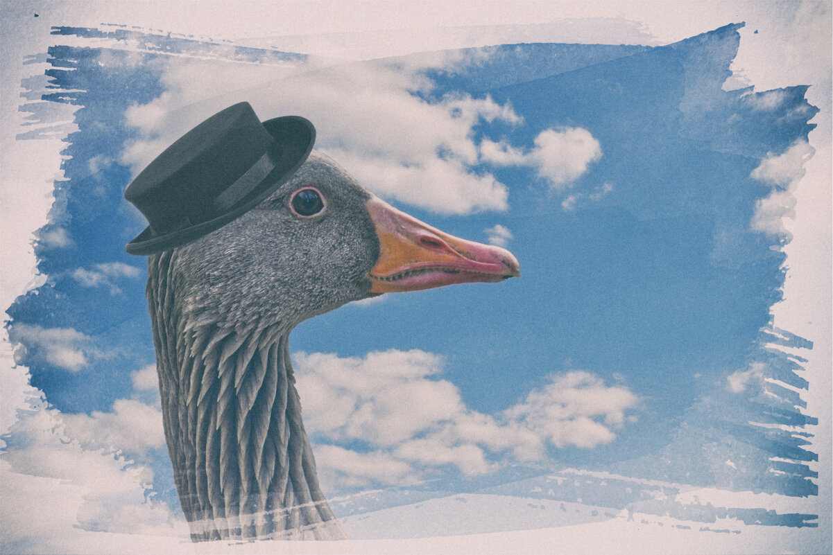 Знайка - Jakob Dick