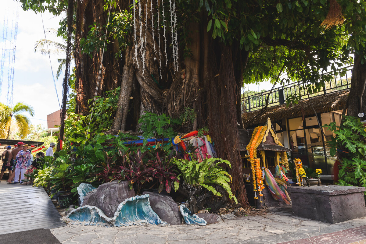 ... - Жора Житников