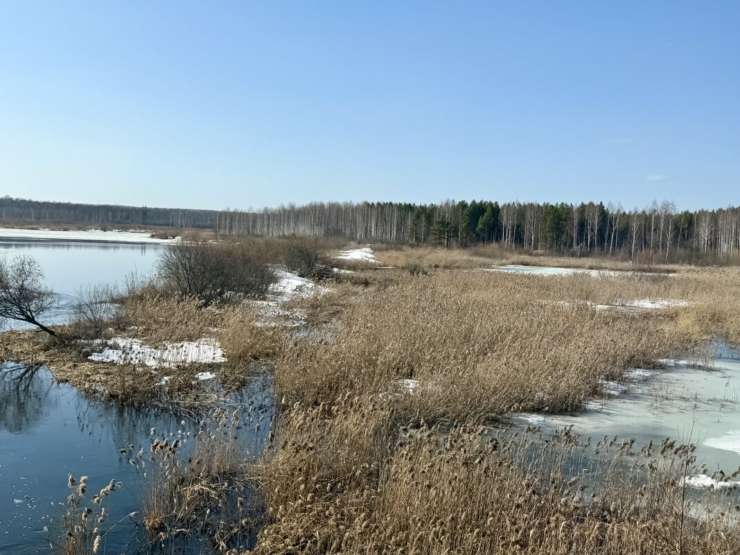 На просторах Родины… - Pippa 