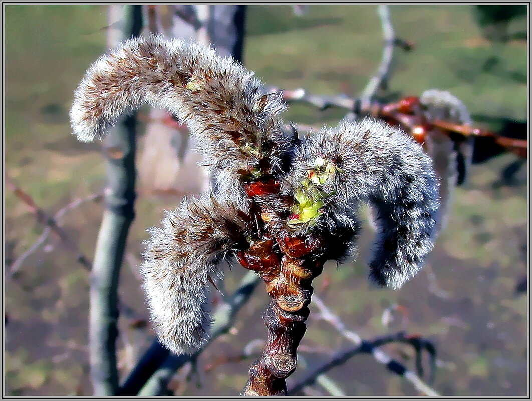 Пробуждение - Ольга Довженко