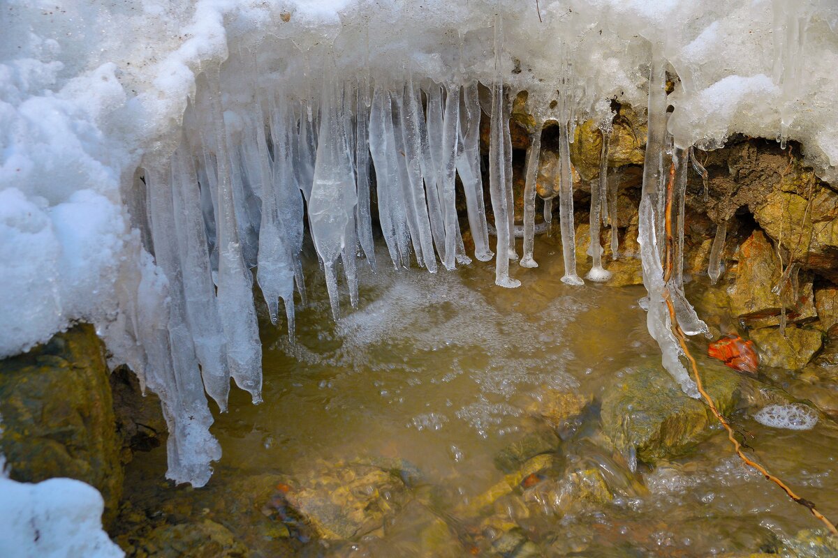 - - Владимир Мигонькин
