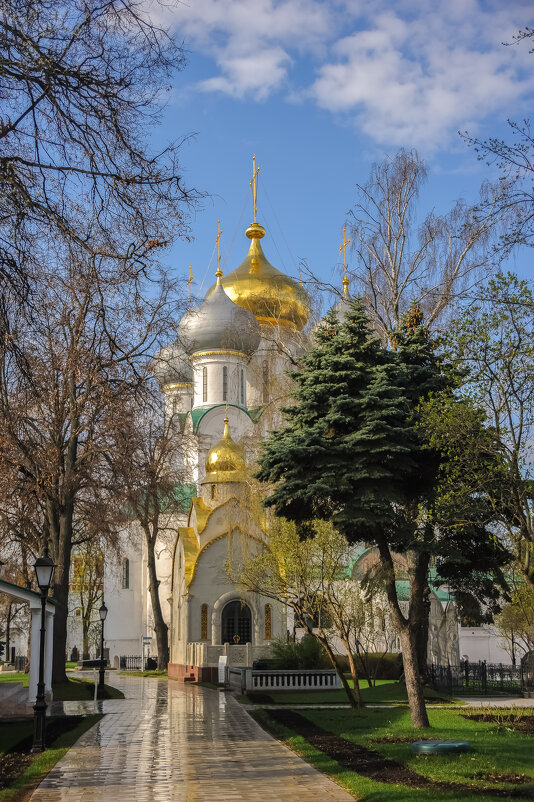 Умытое утро. - Николай 