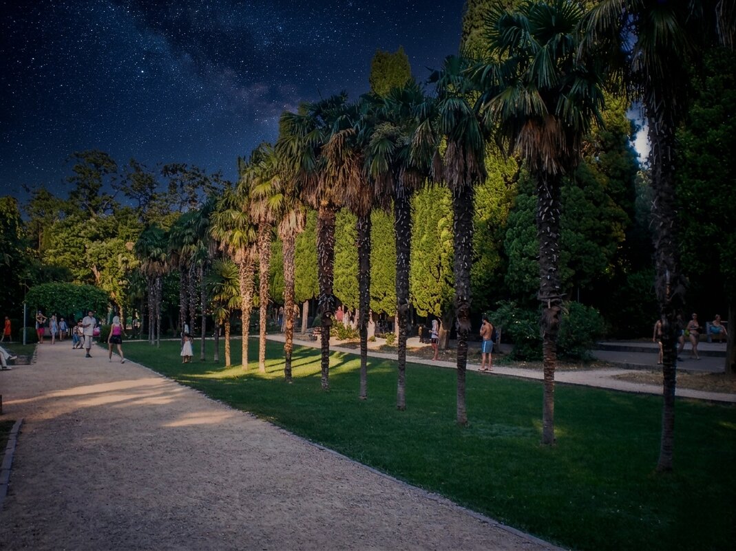 Отредактировано с ИИ - Роман Савоцкий